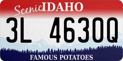 ID license plate 3L4630Q
