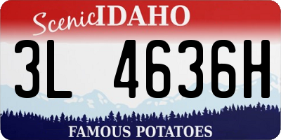 ID license plate 3L4636H