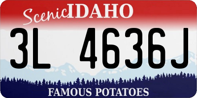 ID license plate 3L4636J