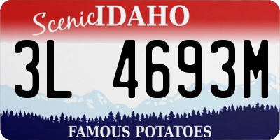 ID license plate 3L4693M