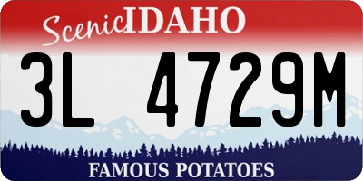 ID license plate 3L4729M