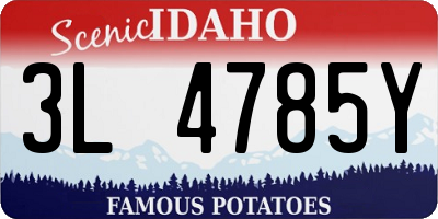 ID license plate 3L4785Y