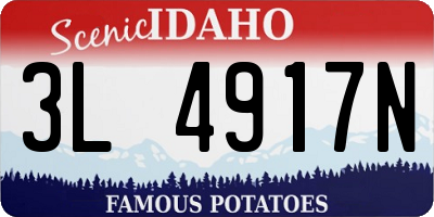 ID license plate 3L4917N
