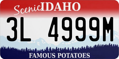 ID license plate 3L4999M
