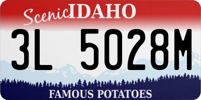 ID license plate 3L5028M