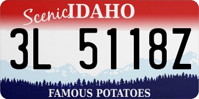 ID license plate 3L5118Z