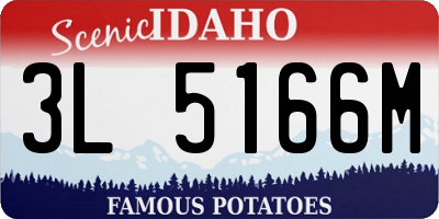 ID license plate 3L5166M