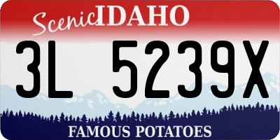 ID license plate 3L5239X