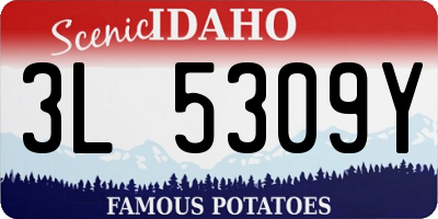 ID license plate 3L5309Y