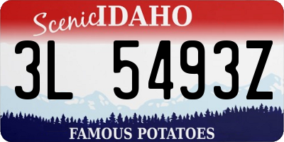ID license plate 3L5493Z