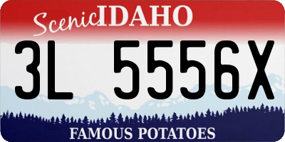 ID license plate 3L5556X
