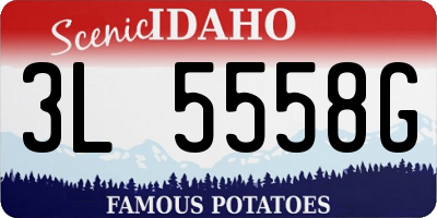 ID license plate 3L5558G