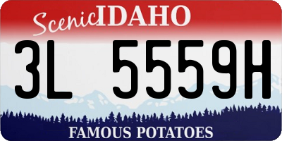 ID license plate 3L5559H