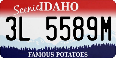 ID license plate 3L5589M