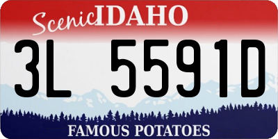 ID license plate 3L5591D