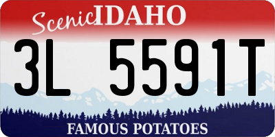ID license plate 3L5591T