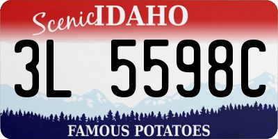 ID license plate 3L5598C
