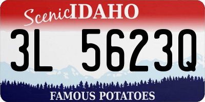 ID license plate 3L5623Q