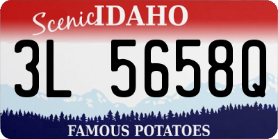 ID license plate 3L5658Q