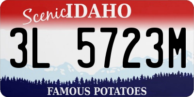 ID license plate 3L5723M