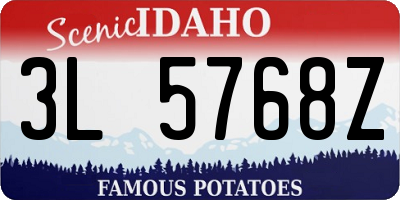 ID license plate 3L5768Z