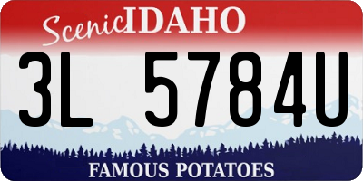 ID license plate 3L5784U
