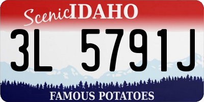 ID license plate 3L5791J