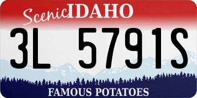 ID license plate 3L5791S