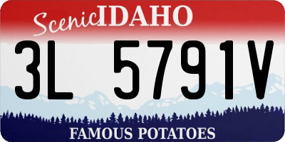 ID license plate 3L5791V