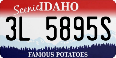 ID license plate 3L5895S