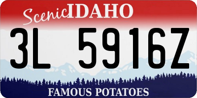 ID license plate 3L5916Z