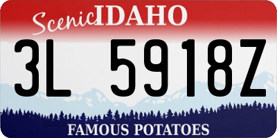 ID license plate 3L5918Z