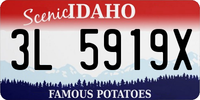 ID license plate 3L5919X