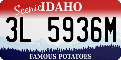 ID license plate 3L5936M