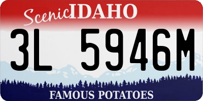 ID license plate 3L5946M