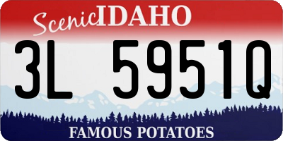 ID license plate 3L5951Q