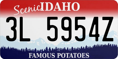 ID license plate 3L5954Z