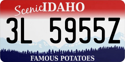 ID license plate 3L5955Z