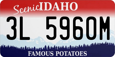 ID license plate 3L5960M