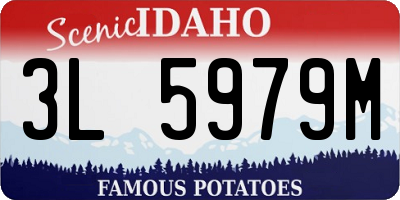 ID license plate 3L5979M
