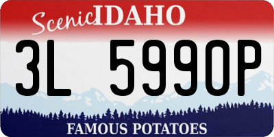 ID license plate 3L5990P
