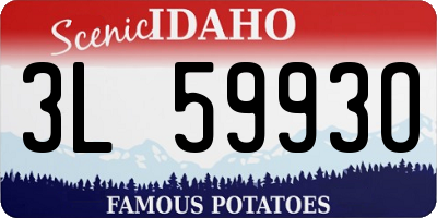 ID license plate 3L5993O