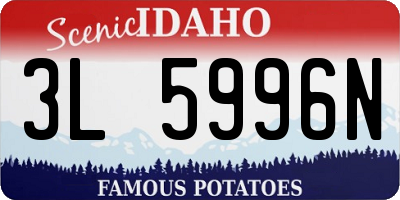 ID license plate 3L5996N