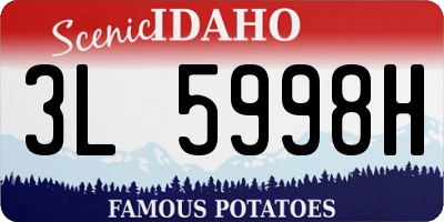 ID license plate 3L5998H