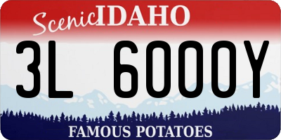 ID license plate 3L6000Y