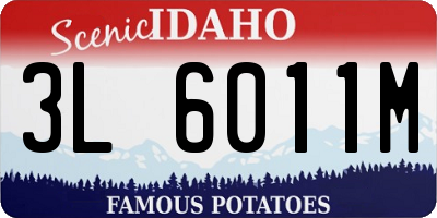 ID license plate 3L6011M