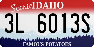 ID license plate 3L6013S
