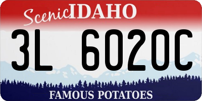 ID license plate 3L6020C