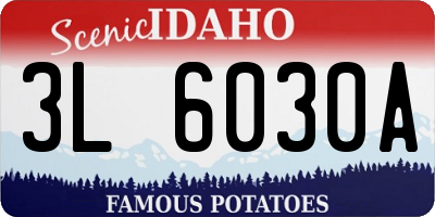 ID license plate 3L6030A