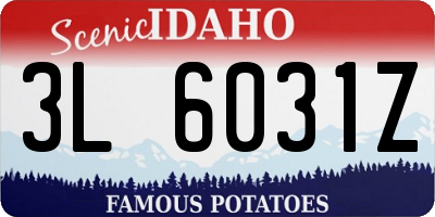 ID license plate 3L6031Z